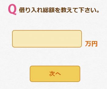 借り入れ総額を教えてください。