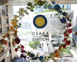 大阪ガラス