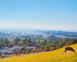 奈良県の町