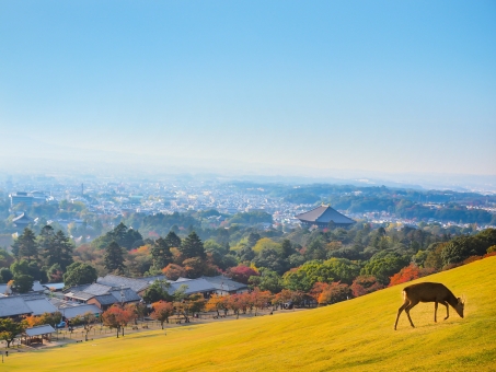 奈良県の町