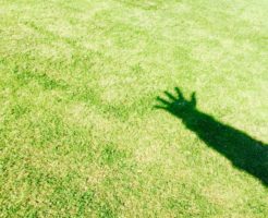 個人再生の体験談