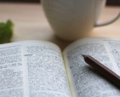 辞書で調べる