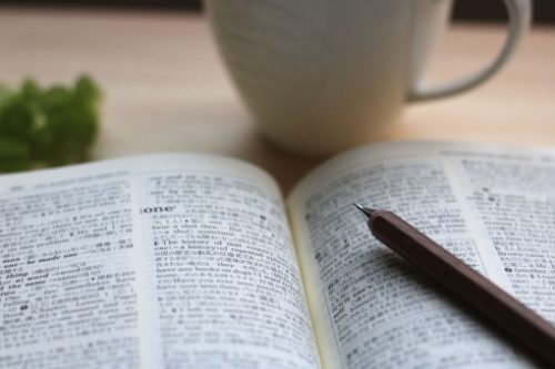 辞書で調べる