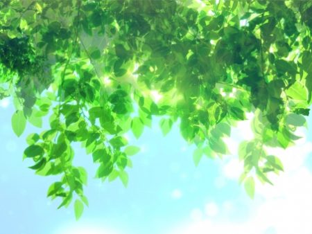 菅野利彦 弁護士に実際に電話