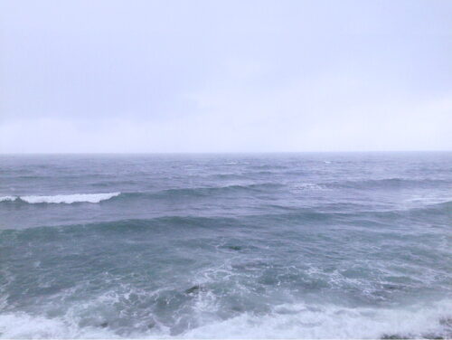 海